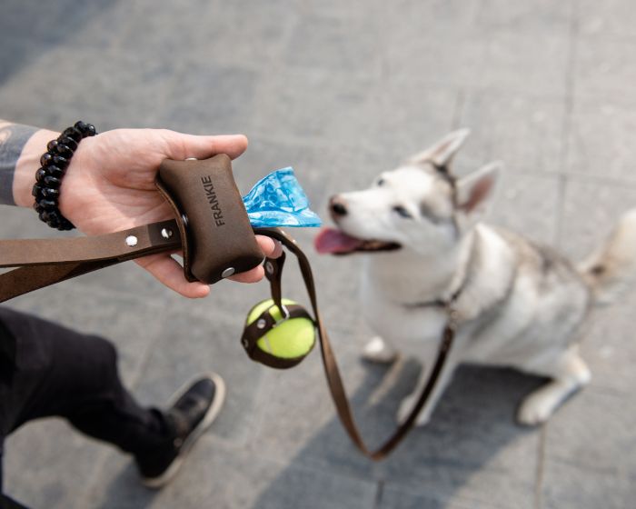 Amazon.com: poopyCUTE - Cute Dog Poop Bag Holder for leash Poop Bags for  Dogs Vegan Friendly Dog Poop Bag Dispenser Dog Treat Pouch Leash Poop Bag  Holder Dog Waste Bag Dispenser Dog