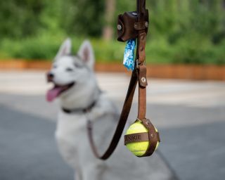 Leather Dog Ball Holder