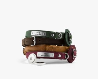 Leather AirTag Compatible Dog Collar