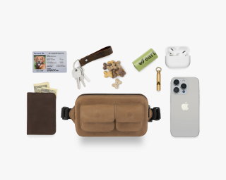 Small dog bag for travel