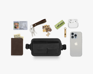 Dog bag for walking