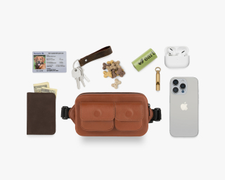 Dog bag for training