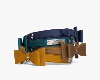 Leather Bow Tie Dog Collar