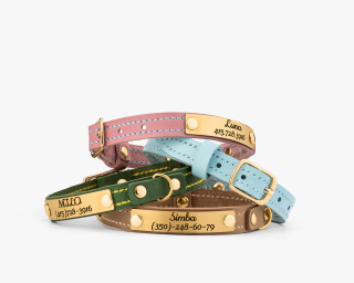 Personalized Leather Cat Collar In Gold Hardware