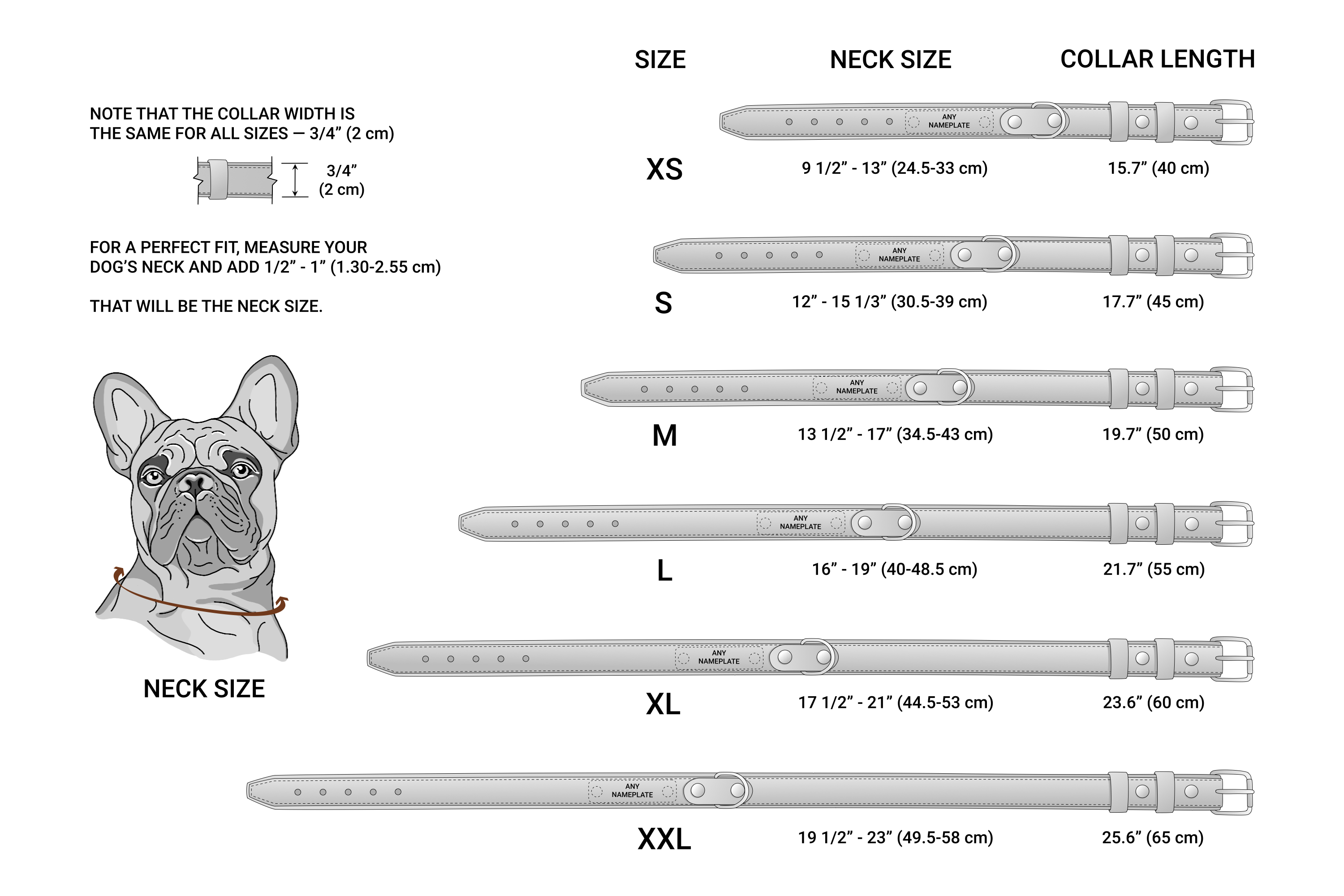 size chart leather dog collar